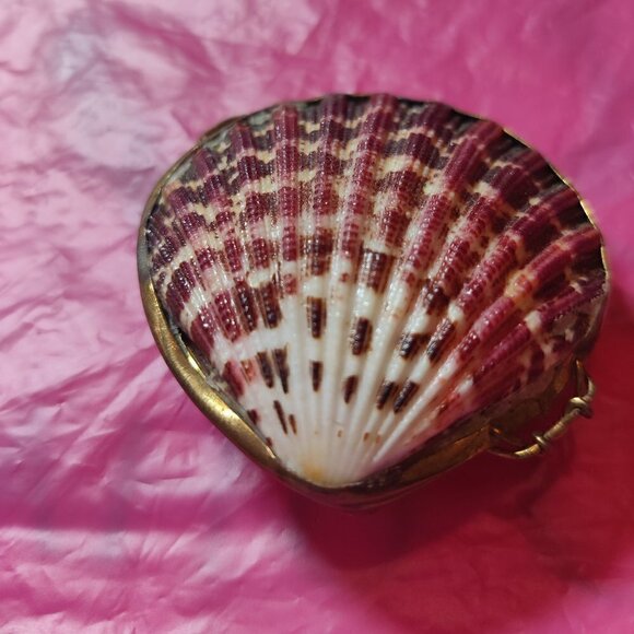 Seashell Trinket Box with Brass Trim. Used as a Pillbox, Perfume Sachet or coins - Picture 6 of 6
